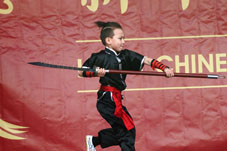 Kung Fu voor Chinees Nieuwjaar Rotterdam 2017